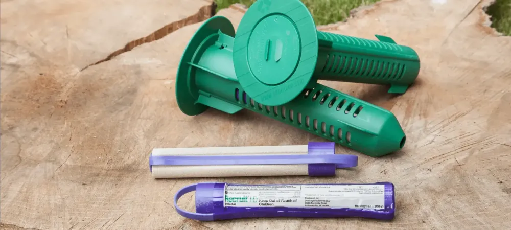 termite bait stations