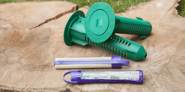 termite bait stations